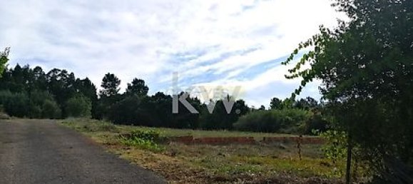 5535m² Land in Coimbra, Portugal No. 21234 3