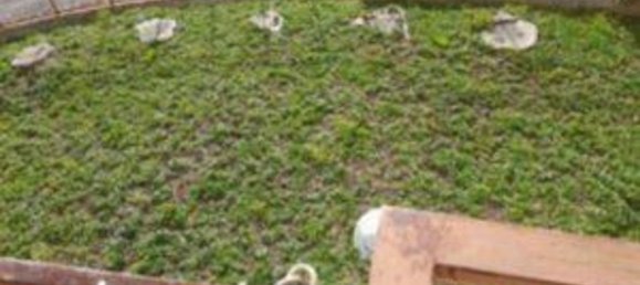 4 rooms Apartment in Carolei, Italy No. 294360 17