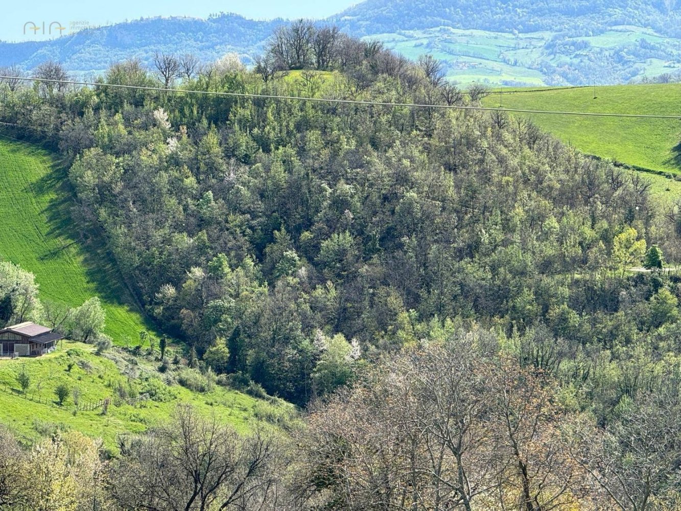 45940m² Land in Amandola, Italy No. 297439