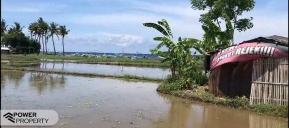 Terreno em Lovina, Indonesia 25000 m² N.º 3992 4