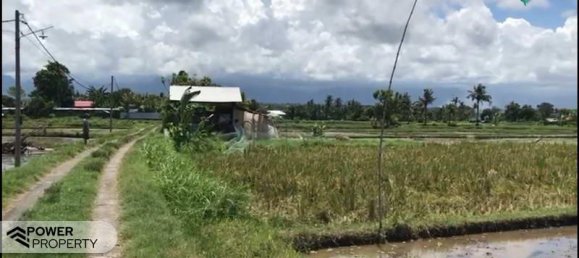 Terreno em Lovina, Indonesia 25000 m² N.º 3992 5