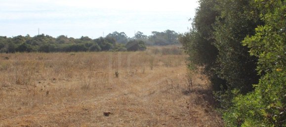 قطعة أرض في Lagos, Portugal 99200متر مربع رقم 60018 14