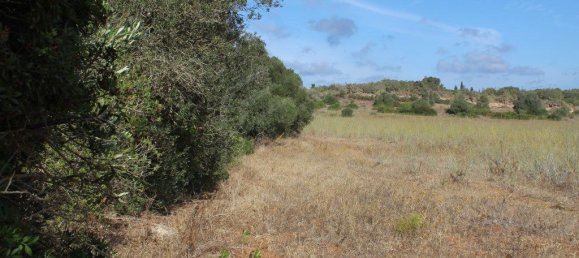 قطعة أرض في Lagos, Portugal 99200متر مربع رقم 60018 15