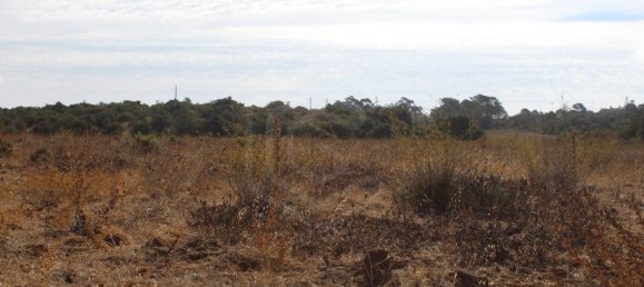 قطعة أرض في Lagos, Portugal 99200متر مربع رقم 60018 12