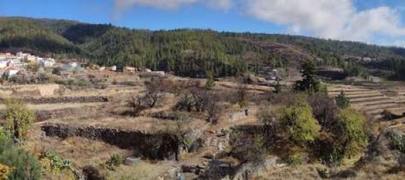 4 bedrooms House in Vilaflor, Spain No. 29756 11