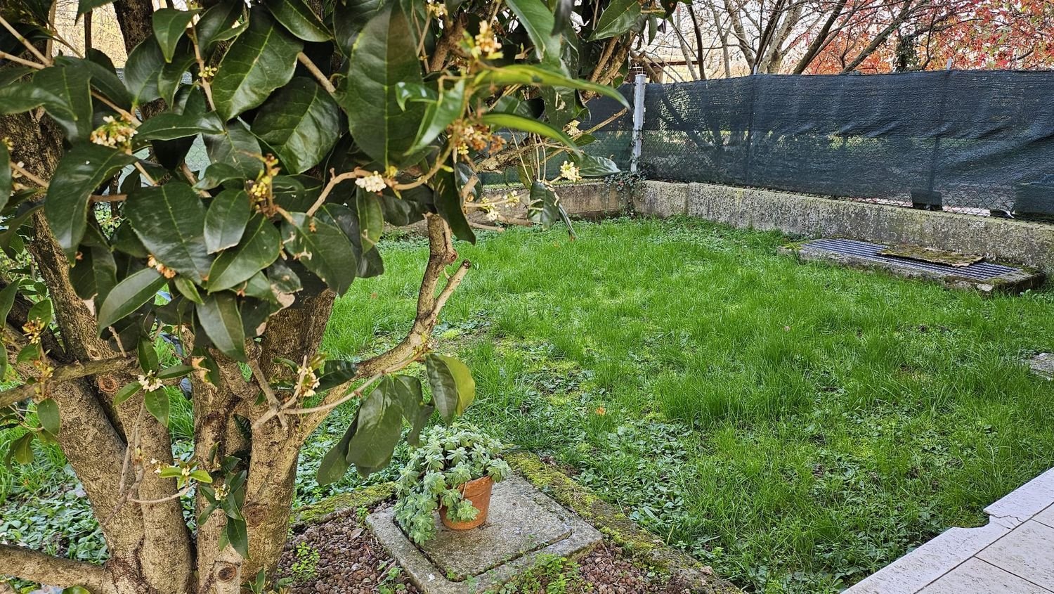 2 rooms Apartment in Maserada sul Piave, Italy No. 190960