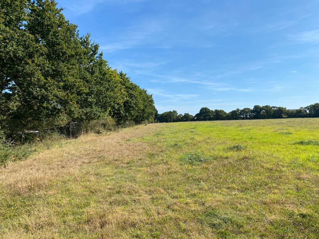  Land in Saint-Pere-en-Retz, France No. 95557