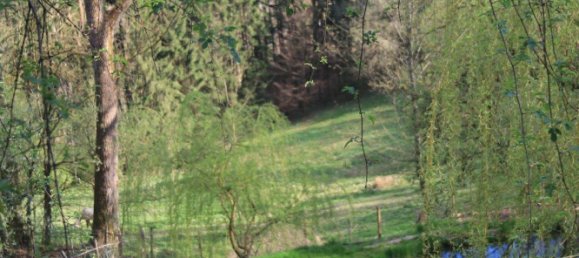 Granja de 10 habitaciónes en Kulmbach, Germany No. 261797 8