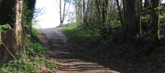 Granja de 10 habitaciónes en Kulmbach, Germany No. 261797 9