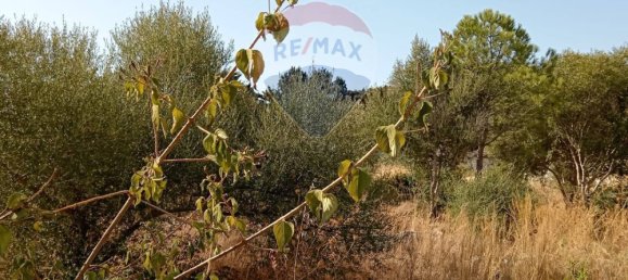 Terreno en Syracuse, Italy No. 333875 4