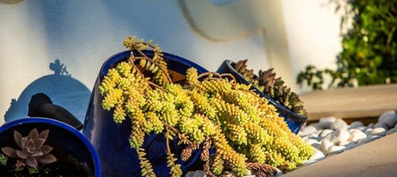 7 Schlafzimmer Villa in Cadiz, Spain, Nr. 26498 34