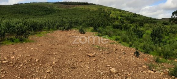 2 غرف نوم منزل في Mexilhoeira Grande, Portugal رقم 51458 19