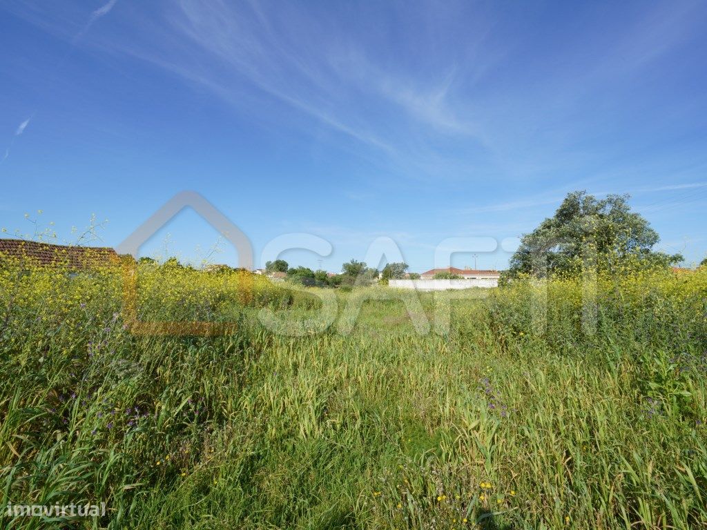 Grundstück in Alcobaca, Portugal 8765m², Nr. 90889