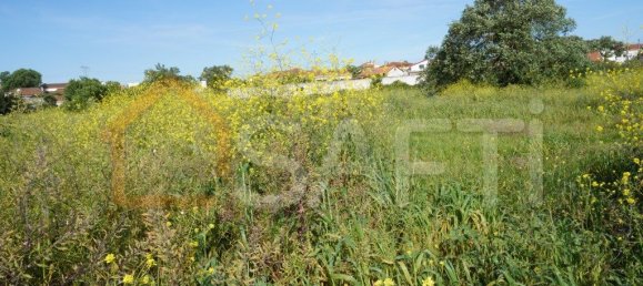 Grundstück in Alcobaca, Portugal 8765m², Nr. 90889 4