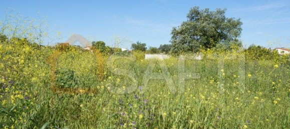Grundstück in Alcobaca, Portugal 8765m², Nr. 90889 6