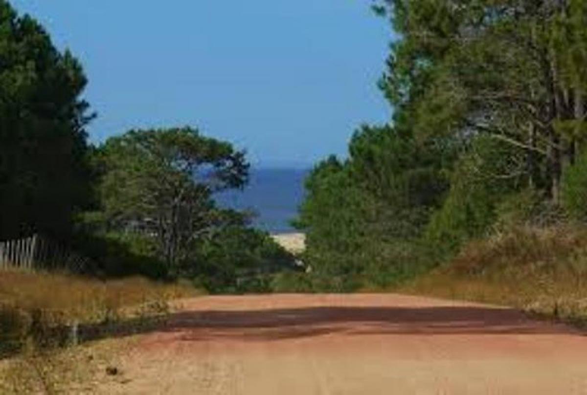  قطعة أرض في Maldonado, Uruguay رقم 15336