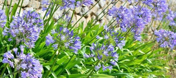 Casa de 3 dormitorios en Pleubian, France No. 331459 2