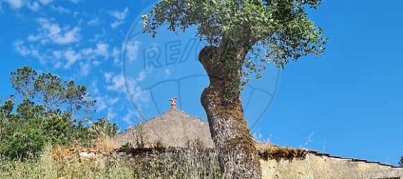 2 Schlafzimmer Haus in Ansiao, Portugal, Nr. 32994 8