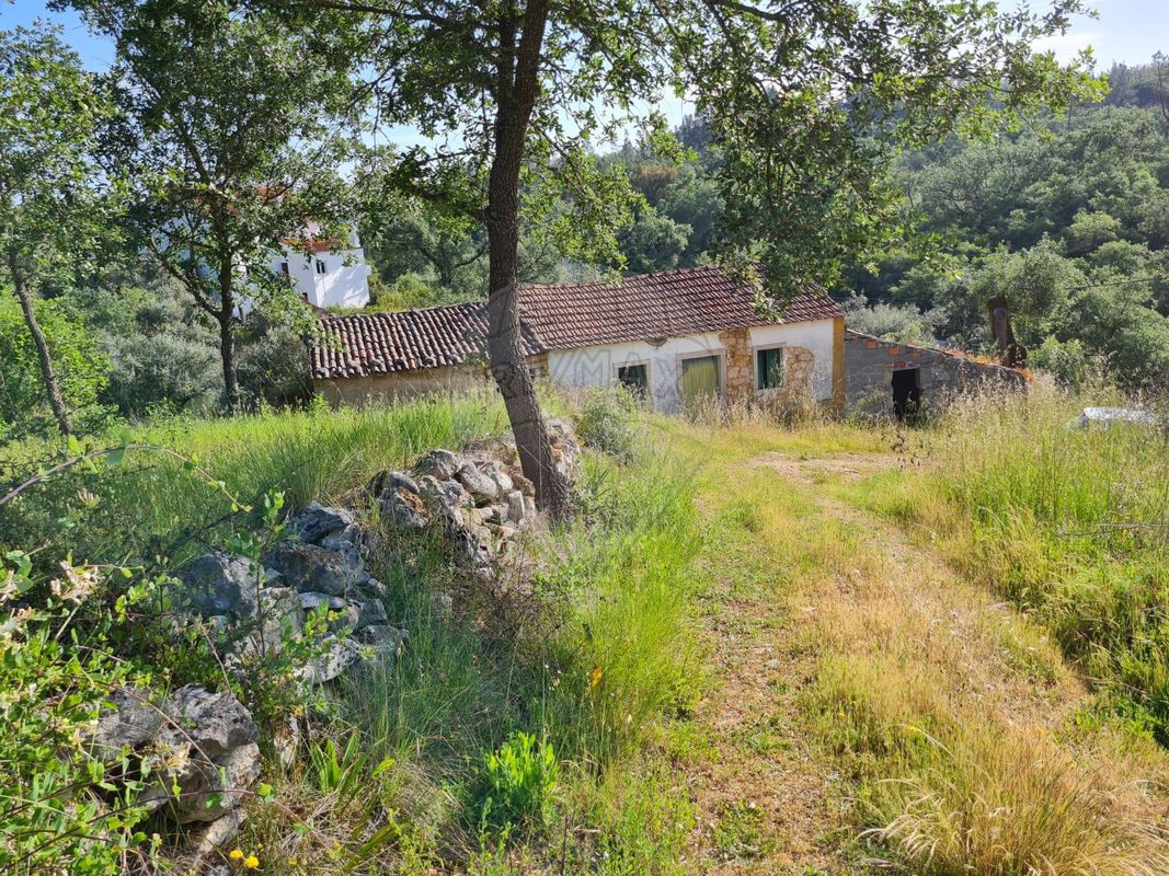 2 Schlafzimmer Haus in Ansiao, Portugal, Nr. 32994