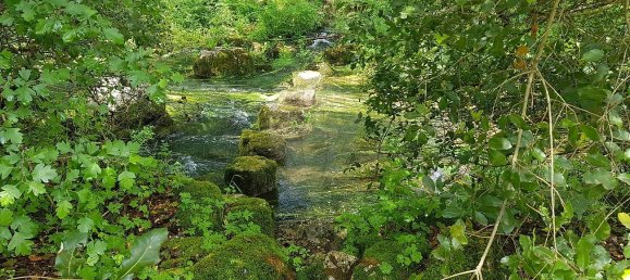 2 Schlafzimmer Haus in Ansiao, Portugal, Nr. 32994 7