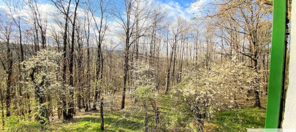 Дом с 7 комнатами в Урбе, Италия № 163441 8