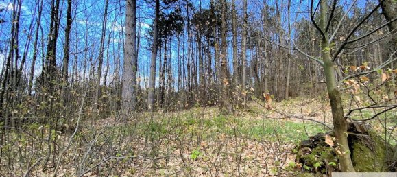 Дом с 7 комнатами в Урбе, Италия № 163441 20