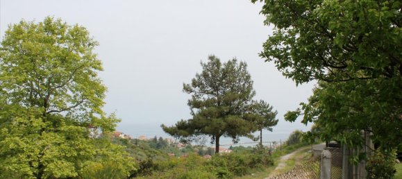 4 bedrooms Commercial property in Pieria, Greece No. 6347 24