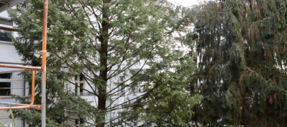 2غرفة منزل ذو طابقين في Tempelhof, Germany رقم 45145 10