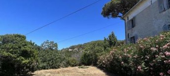 7 bedrooms House in Haute-Corse, France No. 300267 5