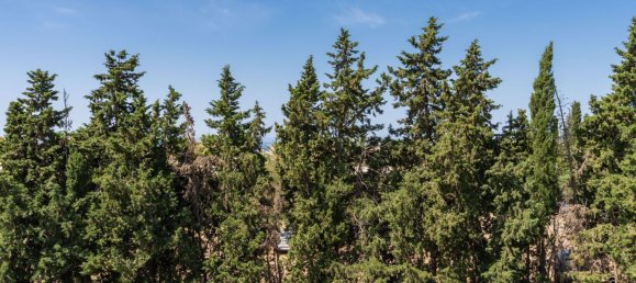 2 bedrooms Penthouse in Marbella, Spain No. 147541 28