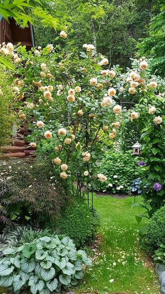  Land in Teltow-Flaming, Germany No. 111874