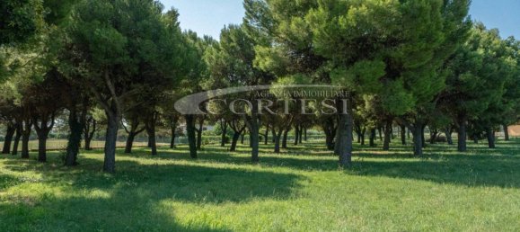 4 bedrooms Apartment in Mondolfo, Italy No. 321852 10