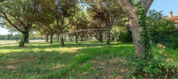 4 bedrooms Apartment in Mondolfo, Italy No. 321852 14