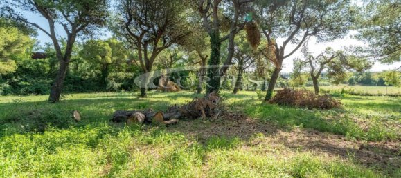 4 bedrooms Apartment in Mondolfo, Italy No. 321852 13