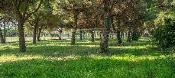 4 bedrooms Apartment in Mondolfo, Italy No. 321852 11