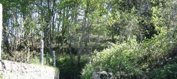 4087m² Land in Santo Tirso, Portugal No. 51918 5