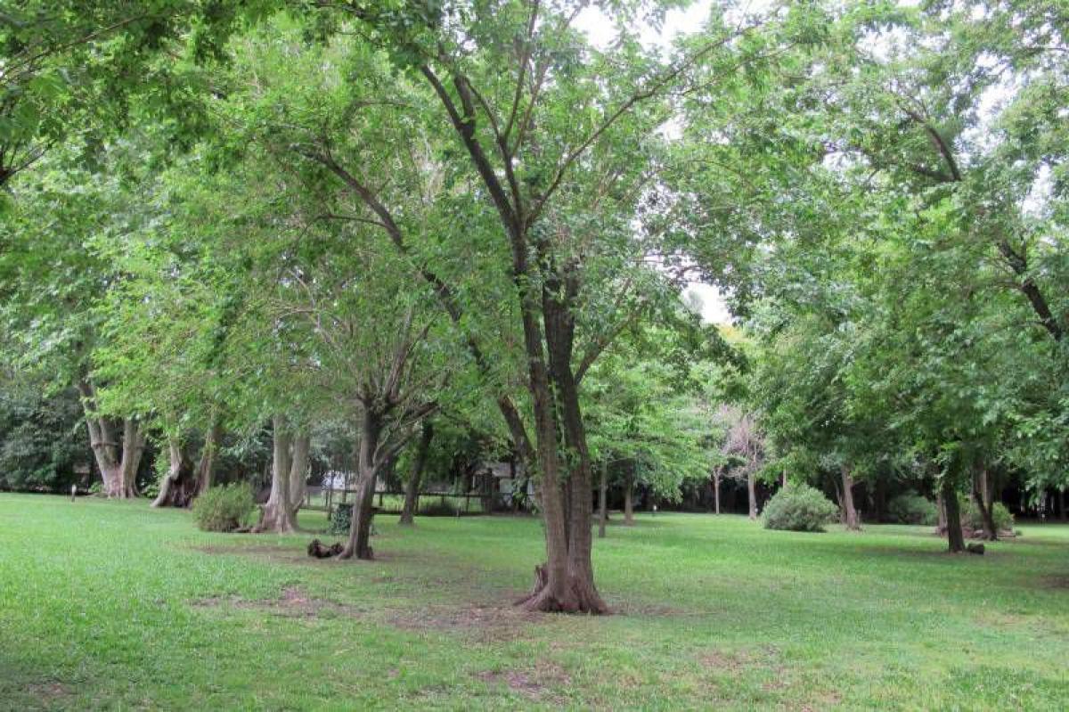  Land in Santa Fe, Argentina No. 33318