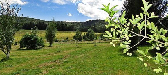 4غرفة منزل في Raon-l'Etape, France رقم 263810 12