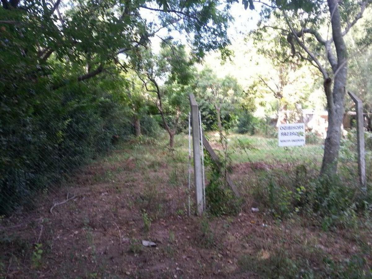  Land in Santa Fe, Argentina No. 32272