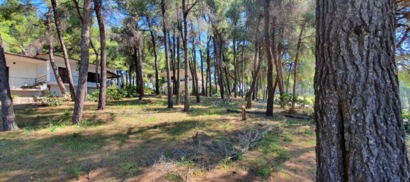 1 Schlafzimmer Villa in Chalkidiki, Greece, Nr. 1515 15