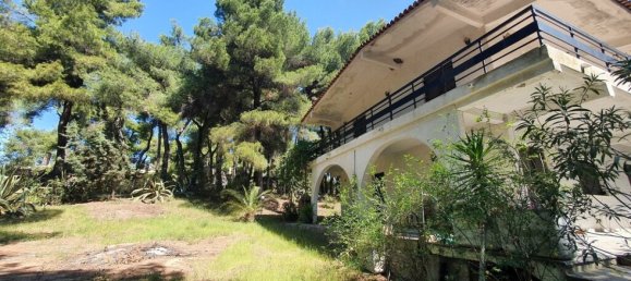 1 Schlafzimmer Villa in Chalkidiki, Greece, Nr. 1515 5