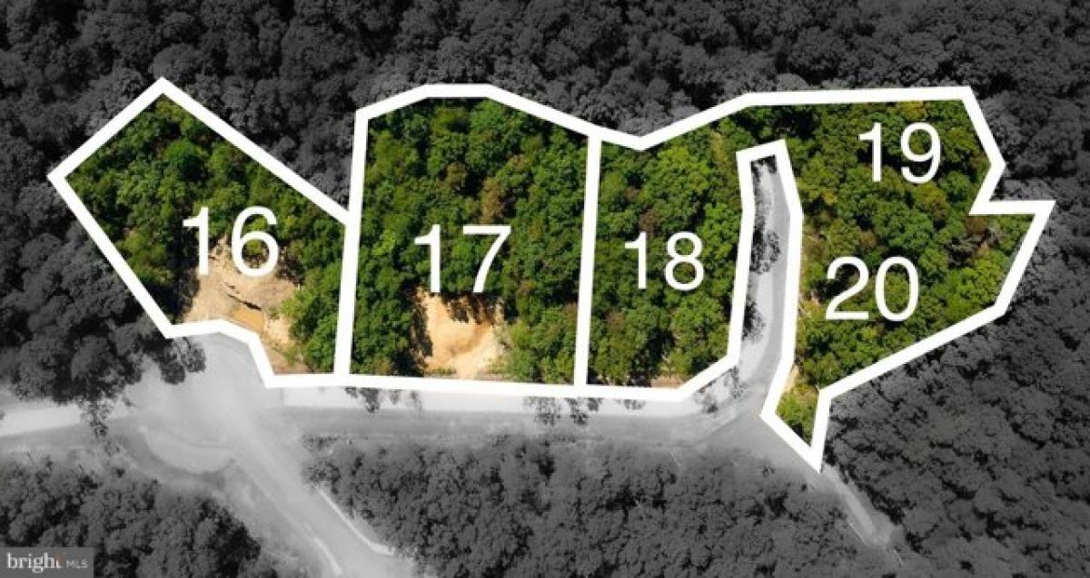  Land in Leonardtown, USA No. 475730