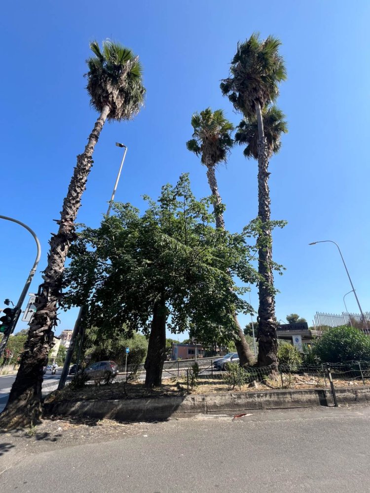 5 bedrooms Apartment in Catania, Italy No. 282816