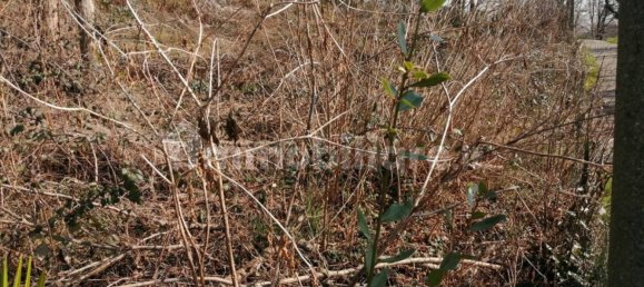 Terrain à Lurate Caccivio, Italy 900m² No. 213403 4