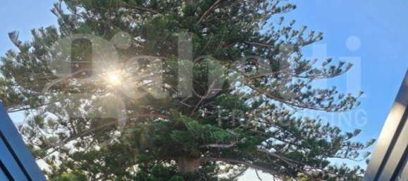 4 rooms Villa in Messina, Italy No. 13729 15