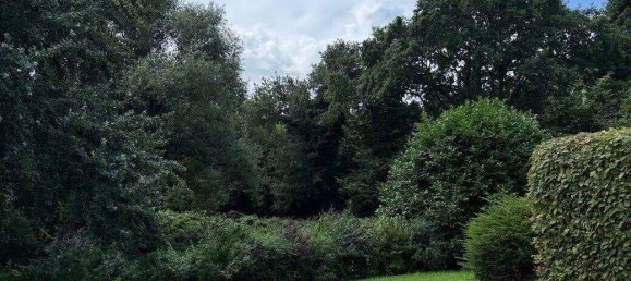 2-Zimmer Wohnung in Plön, Germany, Nr. 240492 3