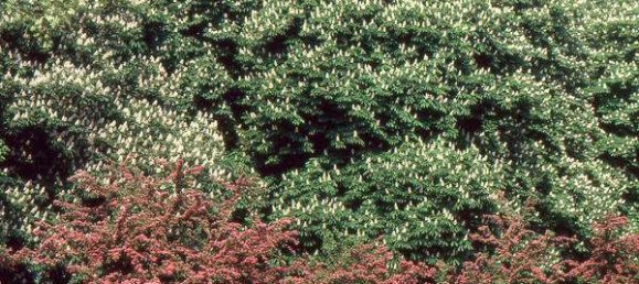 4 bedrooms Apartment in Dusseldorf, Germany No. 12086 11