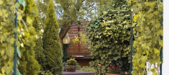 3 غرف نوم تاون هاوس في Calw, Germany رقم 241908 3