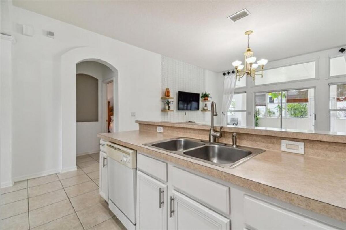 4 bedrooms House in Wesley Chapel, USA No. 423438