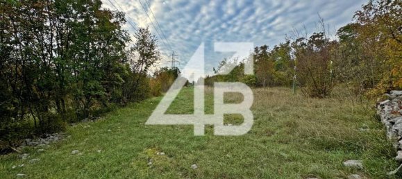 27227m² Land in Trieste, Italy No. 77342 14